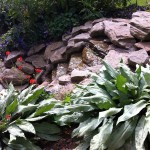 Green Man Gardens Landscape Gardening water features ponds