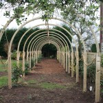 Green Man Gardens Landscape Gardening screening pergola trellis