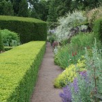 Green Man Gardens Landscape Gardening gravel pathway drive screening