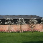 Green Man Gardens Landscape Gardening screening