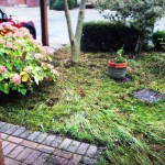 Patio Front Garden Natural Stone Paving BEFORE