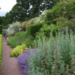 Planted Border Herbacious Perennials Gravel Path