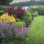 Woolaston Herbacious Borders Garden Maintenance Gravel Path Brick Edge Shrubs